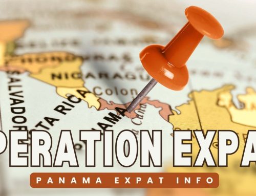 Personal Blog IHUBApp & Blog Content (Operation Expat)